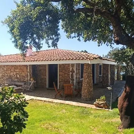 De La Seliga *